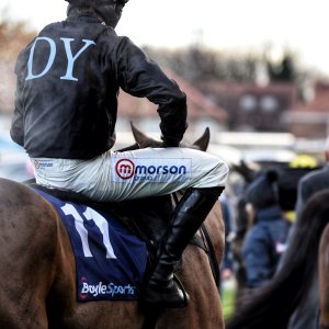 Equine Photography