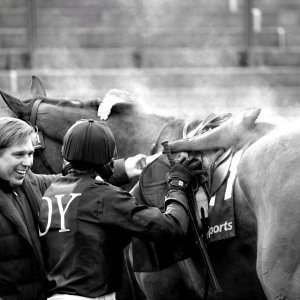 Equine Photography