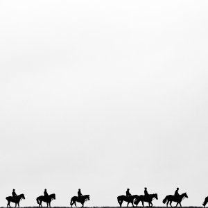 Equine Photography