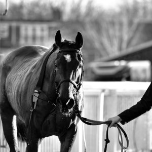 Aintree | Becher Chase | 3/12/22