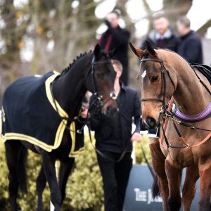 Aintree | Becher Chase | 3/12/22