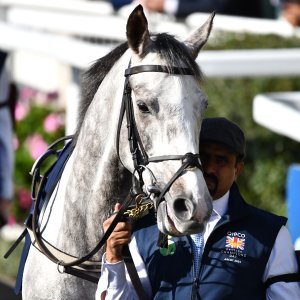 Ascot | QIPCO British Champions | 19/10/24