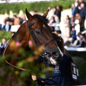 Ascot | QIPCO British Champions | 19/10/24