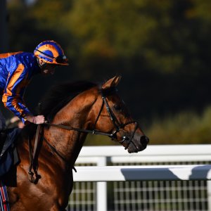 Ascot | QIPCO British Champions | 19/10/24