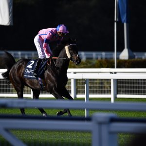 Ascot | QIPCO British Champions | 19/10/24