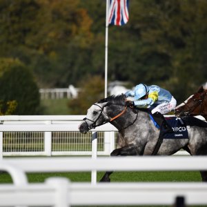 Ascot | QIPCO British Champions | 19/10/24