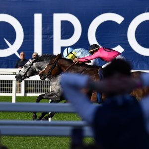 Ascot | QIPCO British Champions | 19/10/24