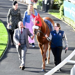 Ascot | QIPCO British Champions | 19/10/24