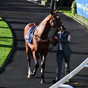Ascot | QIPCO British Champions | 19/10/24