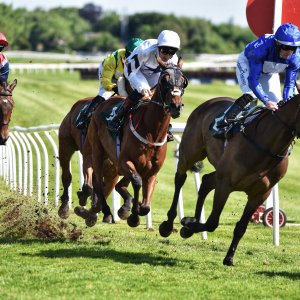 Catterick | Jubille Raceday | 3/6/22