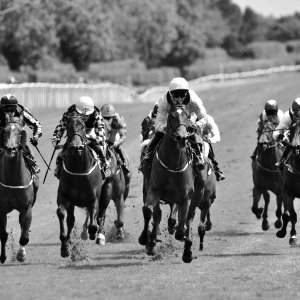 Catterick | Jubille Raceday | 3/6/22