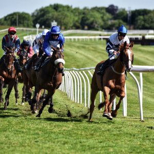 Catterick | Jubille Raceday | 3/6/22