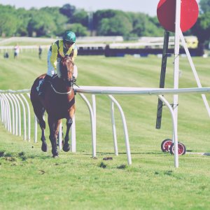 Catterick | Jubille Raceday | 3/6/22
