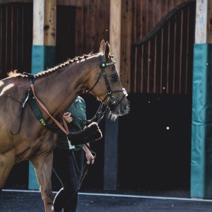 Catterick | Jubille Raceday | 3/6/22