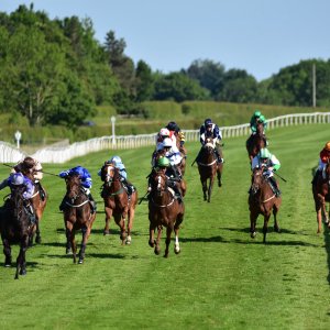 Catterick | Jubille Raceday | 3/6/22