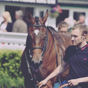 Catterick | Jubille Raceday | 3/6/22