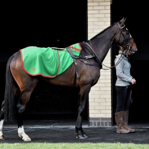 Doncaster | Sky Bet Chase | 28/1/23
