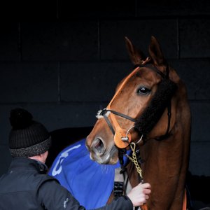 Doncaster | Sky Bet Chase | 28/1/23