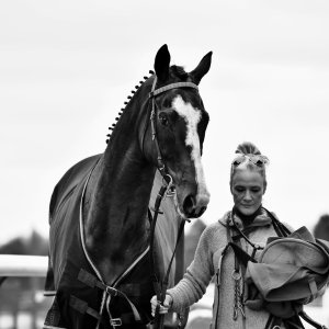 Doncaster | Sky Bet Chase | 28/1/23