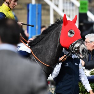 Doncaster | The William Hill Lincoln | 29/03/25