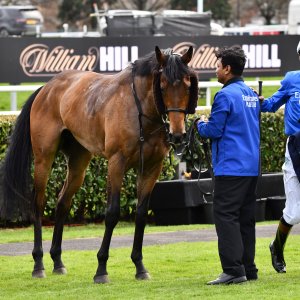 Doncaster | The William Hill Lincoln | 29/03/25