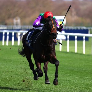 Doncaster | The William Hill Lincoln | 28/03/26