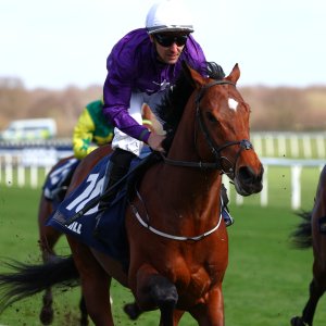 Doncaster | The William Hill Lincoln | 28/03/26