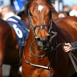 Doncaster | The William Hill Lincoln | 28/03/26
