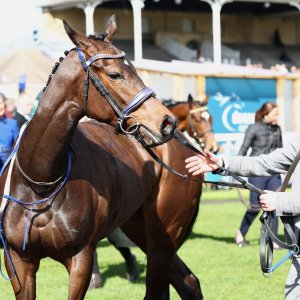 Doncaster | The William Hill Lincoln | 28/03/26