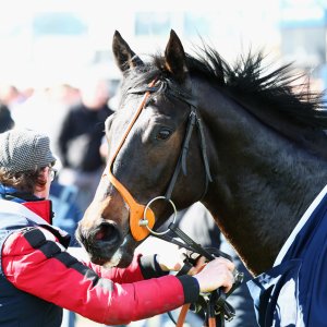 Doncaster | The William Hill Lincoln | 28/03/26