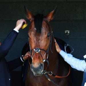 Doncaster | The William Hill Lincoln | 28/03/26