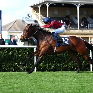 Doncaster | The William Hill Lincoln | 28/03/26