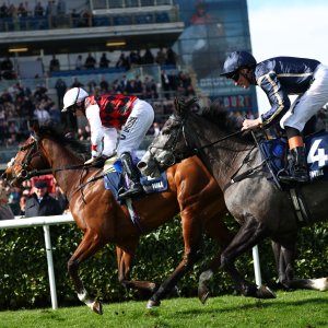 Doncaster | The William Hill Lincoln | 28/03/26
