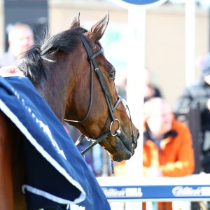 Doncaster | The William Hill Lincoln | 28/03/26