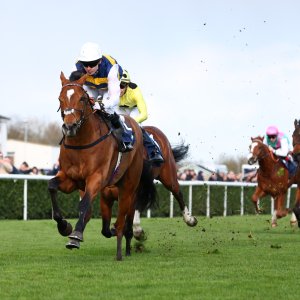 Doncaster | The William Hill Lincoln | 28/03/26