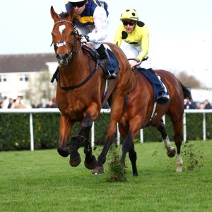 Doncaster | The William Hill Lincoln | 28/03/26