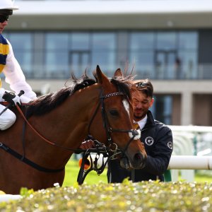 Doncaster | The William Hill Lincoln | 28/03/26