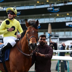 Doncaster | The William Hill Lincoln | 28/03/26