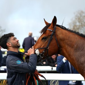 Doncaster | The William Hill Lincoln | 28/03/26