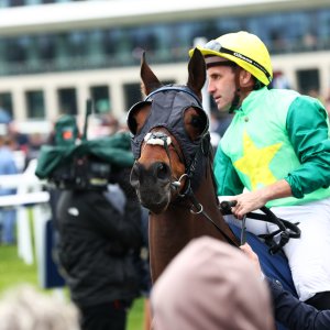 Doncaster | The William Hill Lincoln | 28/03/26