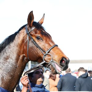 Doncaster | The William Hill Lincoln | 28/03/26