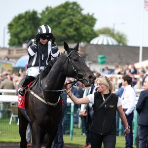 Doncaster | St Leger | 12,13/9/25