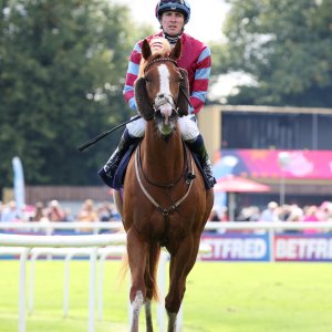 Doncaster | St Leger | 12,13/9/25