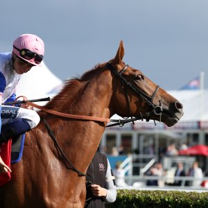 Doncaster | St Leger | 12,13/9/25