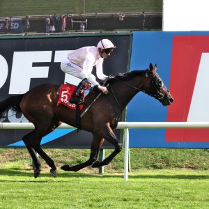 Doncaster | St Leger | 12,13/9/25
