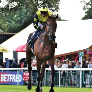 Doncaster | St Leger | 12,13/9/25