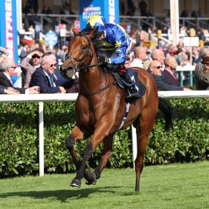 Doncaster | St Leger | 12,13/9/25