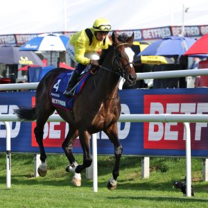 Doncaster | St Leger | 12,13/9/25