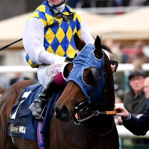 Doncaster | William Hill Trophy | 26/10/24