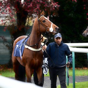 Doncaster | William Hill Trophy | 26/10/24